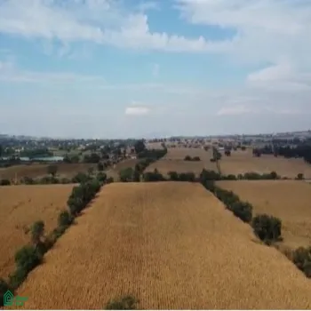 Local En Venta,Tlajomulco Centro,OCONAGUA S/N, Tlajomulco de Zuniga, Jalisco 45642,OCONAGUA,MX23197685