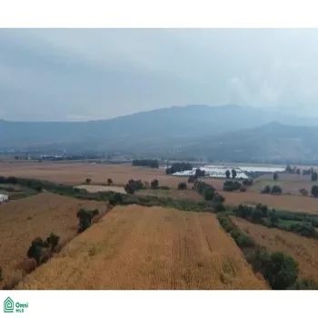 Local En Venta,Tlajomulco Centro,OCONAGUA S/N, Tlajomulco de Zuniga, Jalisco 45642,OCONAGUA,MX23197685