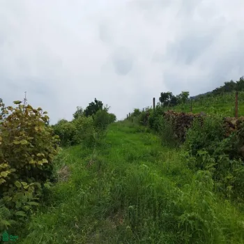 Terreno En Venta,Atotonilquillo,Carretera Guadalajara-Ocotlán 20, Chapala, Jalisco 45930,Carretera Guadalajara-Ocotlán,MX23498200