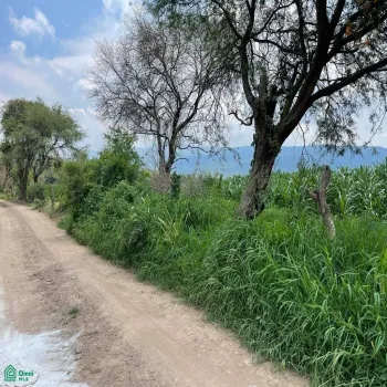 Local En Venta,La Teja,Parcela 17 P1/4, Tlajomulco de Zuniga, Jalisco 45640,Parcela,MX23537508