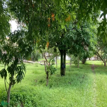 Terreno En Venta,Los Cajetes,San Antonio 40, Zapopan, Jalisco 45234,San Antonio,MX24103719