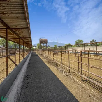 Local En Venta,San José del Valle,San José del Valle S/N, Tlajomulco de Zuniga, Jalisco 45653, 8 Habitaciones,3 Baños,San José del Valle,MX2425074