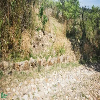 Terreno En Venta,San Nicolás de Ibarra,Paseo Del Tapir (Lomas Del Country) FA 2 Int. M12P, Chapala, Jalisco 45940,Paseo Del Tapir (Lomas Del Country),MX24467233