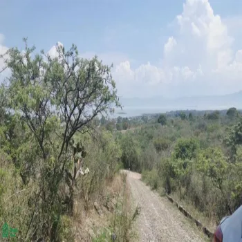 Terreno En Venta,San Nicolás de Ibarra,Paseo Del Tapir (Lomas Del Country) FA 2 Int. M12P, Chapala, Jalisco 45940,Paseo Del Tapir (Lomas Del Country),MX24467233