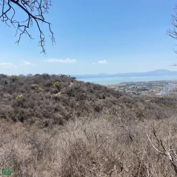 Terreno En Venta,San Nicolás de Ibarra,Sin calle Sin número, Chapala, Jalisco 45940,Sin calle,MX24622660