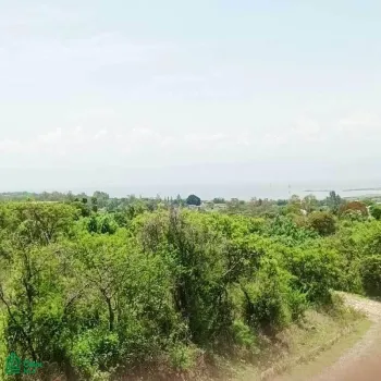 Local En Venta,San Nicolás de Ibarra,Paseo de los Conejos, Lot 12.2, Chapala, Jalisco 45940,Paseo de los Conejos, Lot,MX24735036