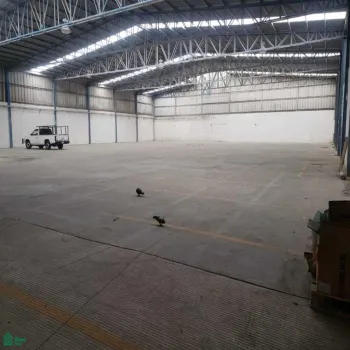 Local En Renta,Francisco Sarabia,HERNAN CORTES 791, Zapopan, Jalisco 45236,HERNAN CORTES,MX25868888