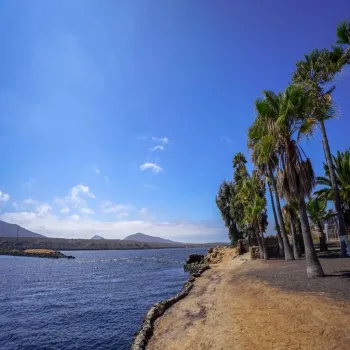 Terreno En Venta,nuevo rosarito ,Parcela Z-1 P-1, 471, San Quintín, Baja California 22710,Parcela Z-1 P-1,pKzBYGz