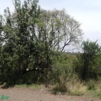 Terreno En Venta,San Nicolás de Ibarra,Paseo de los Conejos 3.58 Manzana 3, Chapala, Jalisco 45940,Paseo de los Conejos,MX25916676