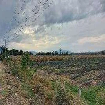 Terreno En Venta,Centro,Guadalajara - Ocotolan s/n. A 3.5 Km al oriente de Poncitlan S/N, Poncitlán, Jalisco 45950,Guadalajara - Ocotolan s/n. A 3.5 Km al oriente de Poncitlan,pn2I3jk