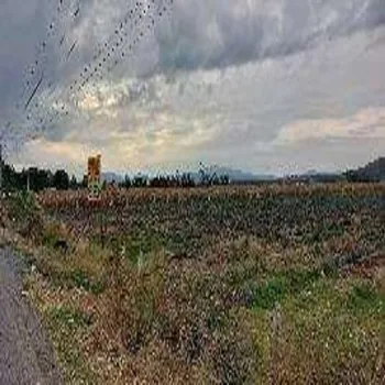 Terreno En Venta,Centro,Guadalajara - Ocotolan s/n. A 3.5 Km al oriente de Poncitlan S/N, Poncitlán, Jalisco 45950,Guadalajara - Ocotolan s/n. A 3.5 Km al oriente de Poncitlan,pn2I3jk