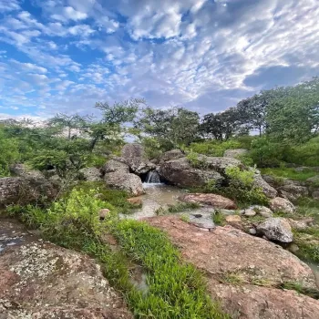 Altavista Residencial,Zapopan, Jalisco 45133,723229