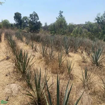 Terreno En Venta,La Venta Del Astillero,Brecha del Ingeniero 17, Zapopan, Jalisco 45221,Brecha del Ingeniero,MX25946453