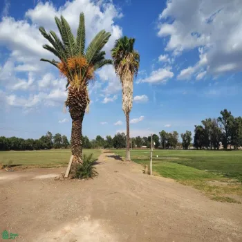 Terreno En Venta,Las Pomas,Camino Rancho El Encino SN, Tlaquepaque, Jalisco 45602,Camino Rancho El Encino,MX25954173