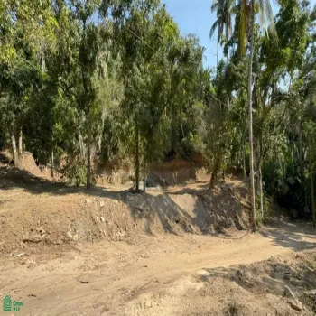 Terreno En Venta,Zona Hotelera Sur,Punta Negra 1B, Puerto Vallarta, Jalisco 48390,Punta Negra,MX25955385