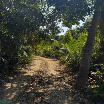 Terreno En Venta,Zona Hotelera Sur,Punta Negra 1B, Puerto Vallarta, Jalisco 48390,Punta Negra,MX25955385