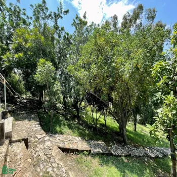 Local En Venta,Ixtlahuacan De Los Membrillos,Camino de los Arrieros 3-B, Guadalajara, Jalisco 45850, 3 Habitaciones,4 Baños,Camino de los Arrieros,2,MX25956764