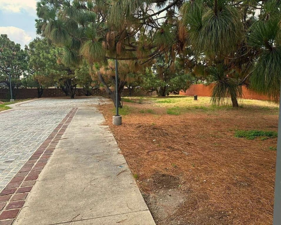 Hacienda San Acacio Coto del Bosque