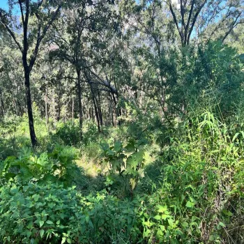 Terreno En Venta,El Arenal,El Arenal S/N, El Arenal, Jalisco 45350,El Arenal,piKd03D