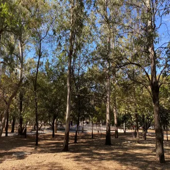 Departamento En Venta,Jardines del Bosque Norte,Calle Parque de Las Estrellas 2712 S/N, Guadalajara, Jalisco 44520, 2 Habitaciones,2 Baños,Calle Parque de Las Estrellas 2712,3,ppSoAZQ