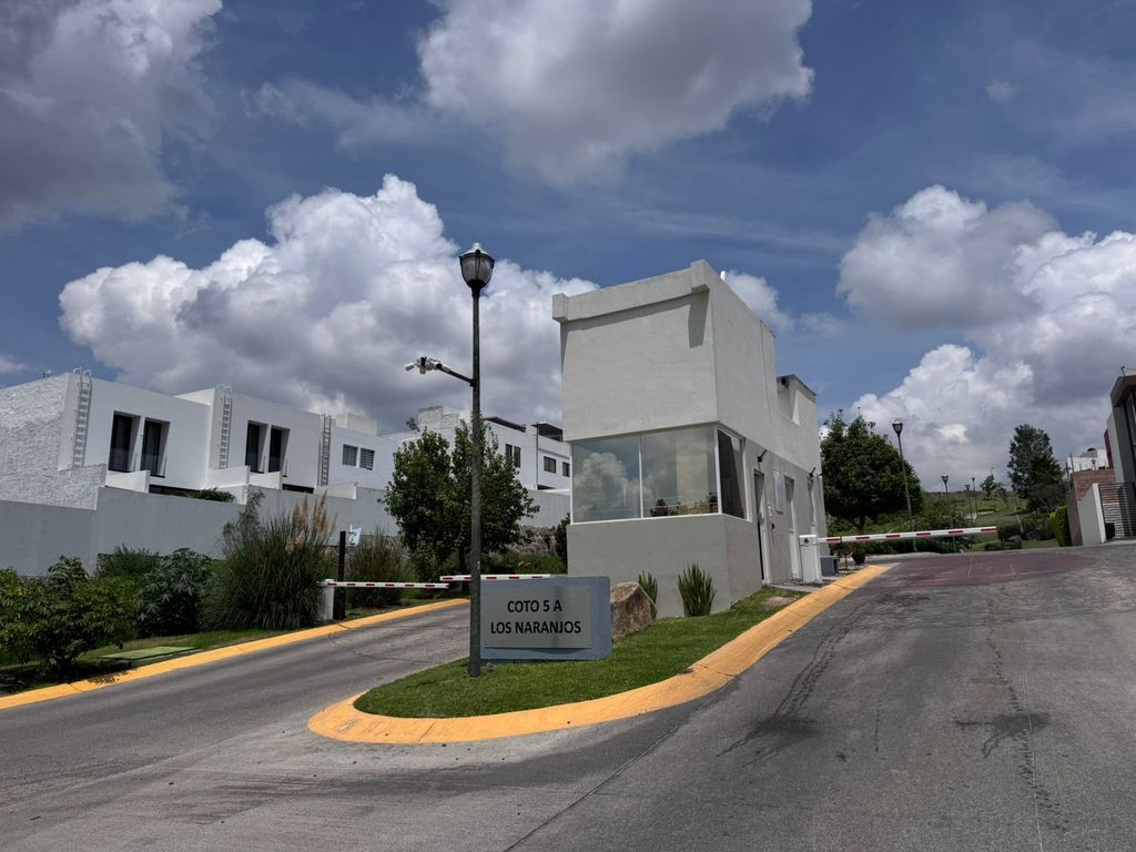 Senderos de Monte Verde Boulevard Senderos de Monteverde