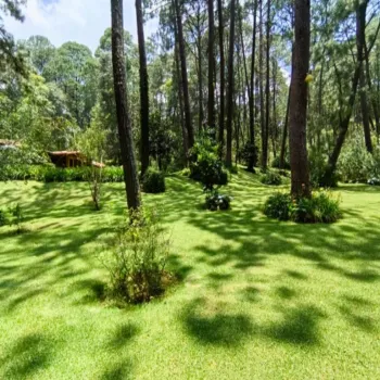 Casa En Venta,Los Cazos,Herradura 11, Mazamitla, Jalisco 49500, 4 Habitaciones,4 Baños,Herradura,1,pJa2XEq