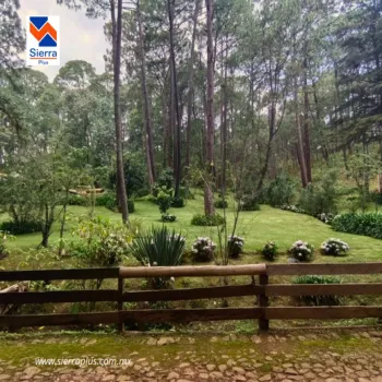 Terreno En Venta,Los Castaños,Herradura 11, Mazamitla, Jalisco 49500,Herradura,pi52rK3