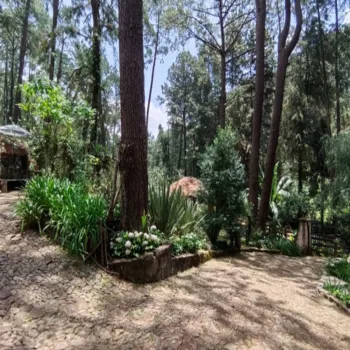 Terreno En Venta,Los Castaños,Herradura 11, Mazamitla, Jalisco 49500,Herradura,pi52rK3