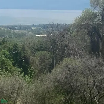 Terreno En Venta,Chapala Haciendas,AGUILA LOTE 6, MANZANA 11, Chapala, Jalisco 45907,AGUILA,MX24681769