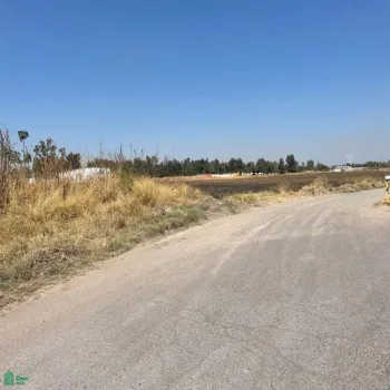 Terreno En Renta,Zapote Del Valle,Predio 287 Z3 P2/2, Tlajomulco de Zuniga, Jalisco 45672,Predio,MX25936105