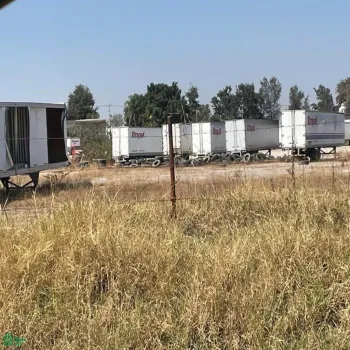 Terreno En Renta,Zapote Del Valle,Predio 287 Z3 P2/2, Tlajomulco de Zuniga, Jalisco 45672,Predio,MX25936105