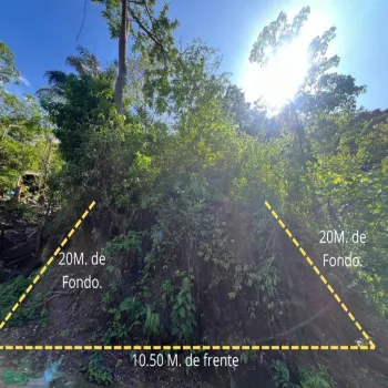 Terreno En Venta,Paso Ancho,Azusenas SN, Puerto Vallarta, Jalisco 48373,Azusenas,MX25966066