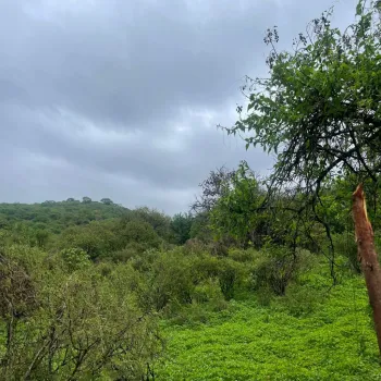 Terreno En Venta,Cajititlán,Fracción B Del Predio La Cantera S/N, Tlajomulco de Zúñiga, Jalisco 45670,Fracción B Del Predio La Cantera,pEWKlKS