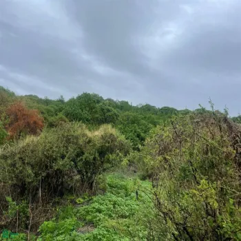 Terreno En Venta,Cajititlán,Sobre Brecha, Fracción B Predio Rustico, La Cant S/N, Tlajomulco de Zuniga, Jalisco 45670,Sobre Brecha, Fracción B Predio Rustico, La Cant,MX25969502