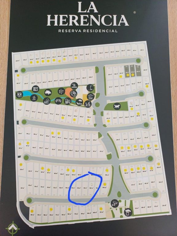 El Salitre Palma Datilera