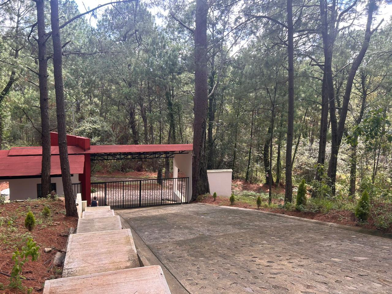 Mazamitla Gorriones