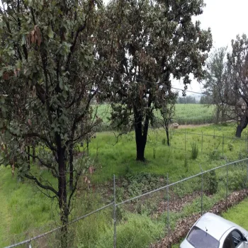 Terreno En Venta,El Arenal ,Paseo de las flores 2, El Arenal, Jalisco 45350,Paseo de las flores ,p80Hwn7