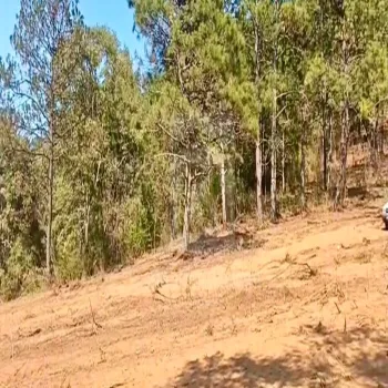 Terreno En Venta,Predio rustico Bembericua y Lagunita S/N, Mazamitla, Jalisco 45412,Predio rustico Bembericua y Lagunita,p6ZZWj9