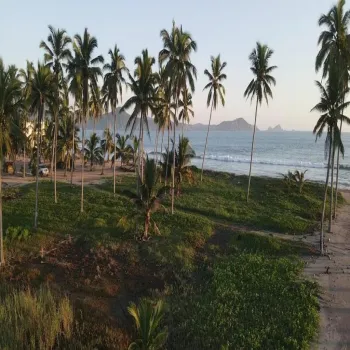 Terreno En Venta,LA MANZANILLA,Costa Alegre S/N, La Huerta, Jalisco 48883,Costa Alegre,pCO0AKS