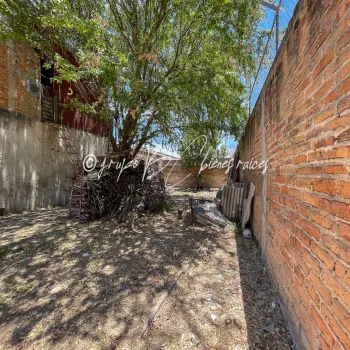 Terreno En Venta,Rancho Nuevo,Calle Eutimio Pinzón 1241, Guadalajara, Jalisco 44240,Calle Eutimio Pinzón,pFDL9IF
