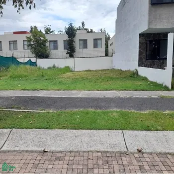 Terreno En Venta,Fraccionamiento Bosques Vallarta,CIRCUITO DEL BOSQUE 330, Zapopan, Jalisco 45019,CIRCUITO DEL BOSQUE,MX25985746