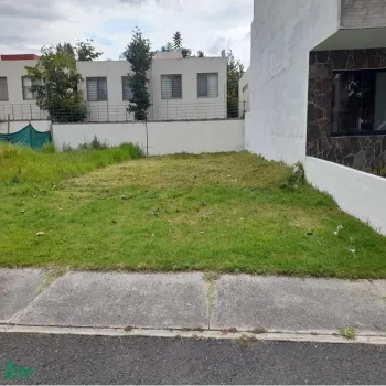 Terreno En Venta,Fraccionamiento Bosques Vallarta,CIRCUITO DEL BOSQUE 330, Zapopan, Jalisco 45019,CIRCUITO DEL BOSQUE,MX25985746