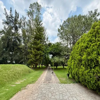 En Renta,La Mojonera,Paseo Los Naranjos S/N, Zapopan, Jalisco 45019,8 Baños,Paseo Los Naranjos,1,ptlt0bh