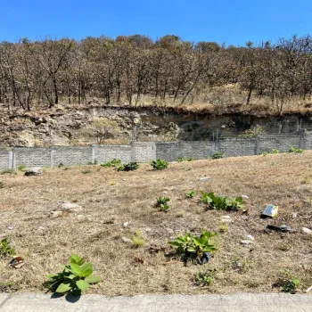 Terreno En Venta,Los Robles,Avenida Paseo de los Robles Norte 295 21, Zapopan, Jalisco 45230,Avenida Paseo de los Robles Norte,pyKP3RC