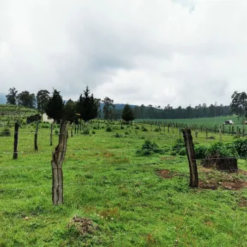 Terreno En Venta,El Mirador ,El Mirador S/N, Tapalpa, Jalisco 49360,El Mirador ,pQaV2uN