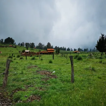 Terreno En Venta,El Mirador ,El Mirador S/N, Tapalpa, Jalisco 49360,El Mirador ,pQaV2uN