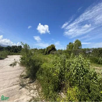 Edificio En Venta,Coapinole,Fraccionamiento Villas del Prado 38, Puerto Vallarta, Jalisco 48290,Fraccionamiento Villas del Prado,MX25993444