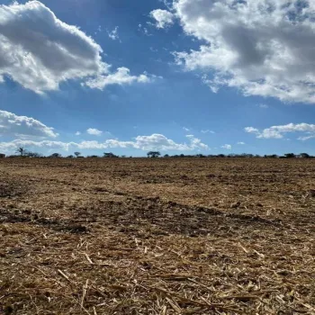 Terreno En Venta,El Zapote,Calle Capulin S/N, Tlajomulco de Zúñiga, Jalisco 45640,Calle Capulin,pIyo0bl