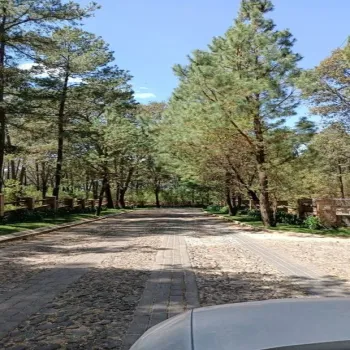 Terreno En Venta,Cruz Verde,Bosques de la Cañada S/N, Tapalpa, Jalisco 49340,Bosques de la Cañada,pjZuFyN