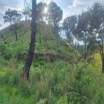 Terreno En Venta,La Primavera,La Primavera S/N, Zapopan, Jalisco 45226,La Primavera,MX25996169
